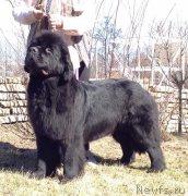 Превью фото № 179097