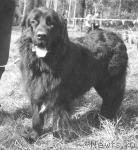 Превью фото № 1791