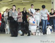 Превью фото № 179146