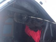 Превью фото № 179161