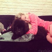 Превью фото № 179163