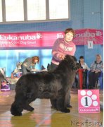 Превью фото № 179179