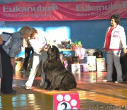 Превью фото № 179180