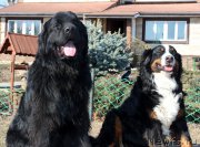 Превью фото № 179260