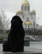 Превью фото № 179339