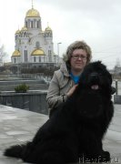 Превью фото № 179340