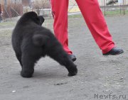 Превью фото № 179453