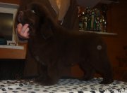 Превью фото № 179473