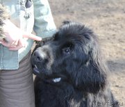 Превью фото № 179494