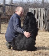 Превью фото № 179524