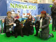 Превью фото № 179530