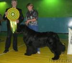 Превью фото № 17955