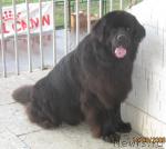 Превью фото № 17959