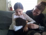 Превью фото № 179599