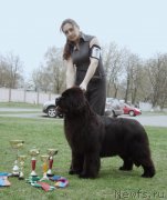 Превью фото № 179607