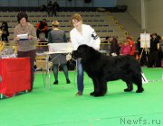 Превью фото № 179621