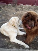 Превью фото № 179635