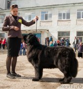 Превью фото № 179664