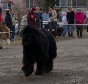 Превью фото № 179666