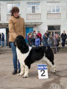 Превью фото № 179668