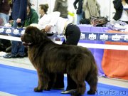 Превью фото № 179711