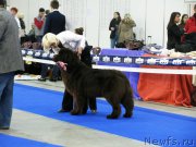 Превью фото № 179713