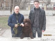 Превью фото № 179742