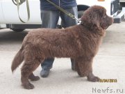 Превью фото № 179745