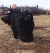 Превью фото № 179748