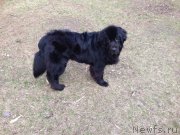 Превью фото № 179759