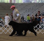 Превью фото № 179781