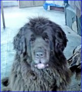 Превью фото № 179801