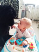 Превью фото № 179812