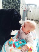 Превью фото № 179813