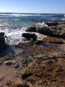 Превью фото № 179820