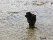 Превью фото № 179824