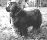 Превью фото № 1799