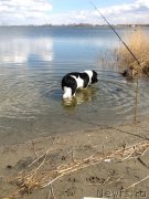 Превью фото № 179921