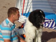 Превью фото № 179924