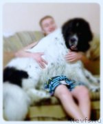 Превью фото № 179925