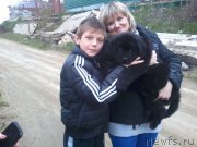 Превью фото № 179934