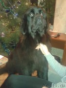 Превью фото № 179939