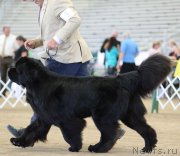 Превью фото № 179950