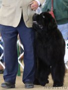 Превью фото № 179951