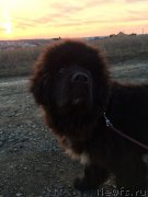 Превью фото № 179963