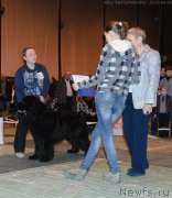 Превью фото № 179964