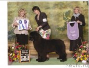 Превью фото № 179982