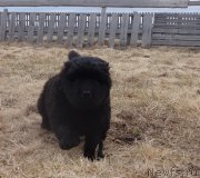 Превью фото № 179997