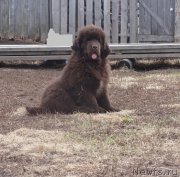 Превью фото № 180010