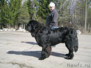 Превью фото № 180033